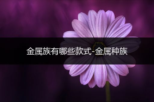 金属族有哪些款式-金属种族