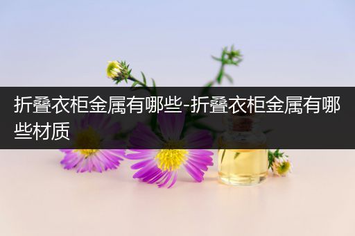 折叠衣柜金属有哪些-折叠衣柜金属有哪些材质