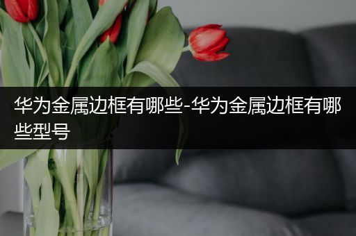 华为金属边框有哪些-华为金属边框有哪些型号