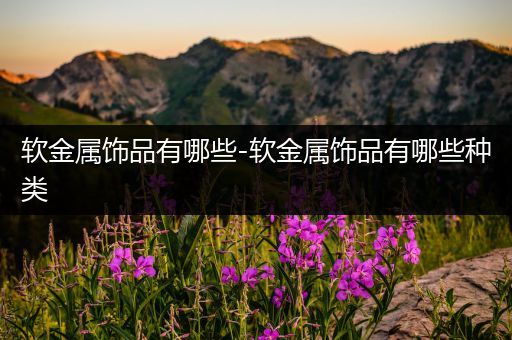 软金属饰品有哪些-软金属饰品有哪些种类