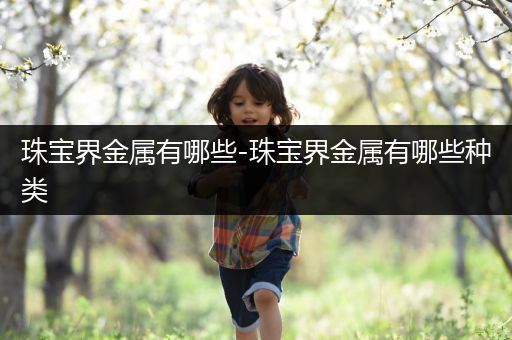 珠宝界金属有哪些-珠宝界金属有哪些种类