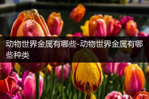 动物世界金属有哪些-动物世界金属有哪些种类
