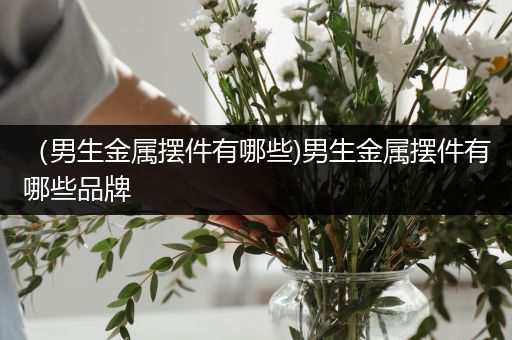 （男生金属摆件有哪些)男生金属摆件有哪些品牌