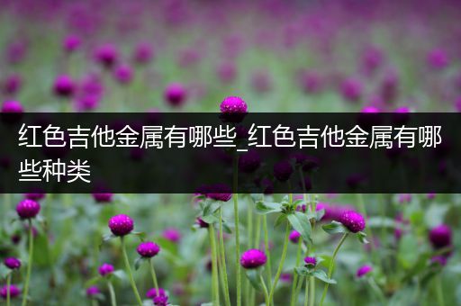 红色吉他金属有哪些_红色吉他金属有哪些种类