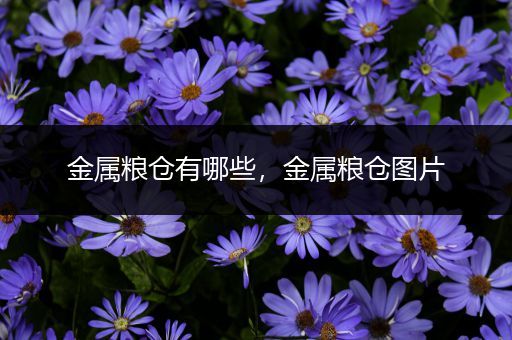 金属粮仓有哪些，金属粮仓图片