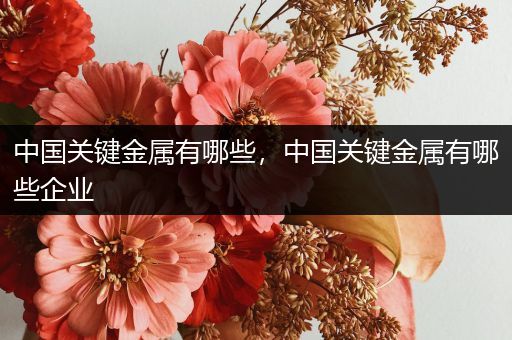中国关键金属有哪些，中国关键金属有哪些企业