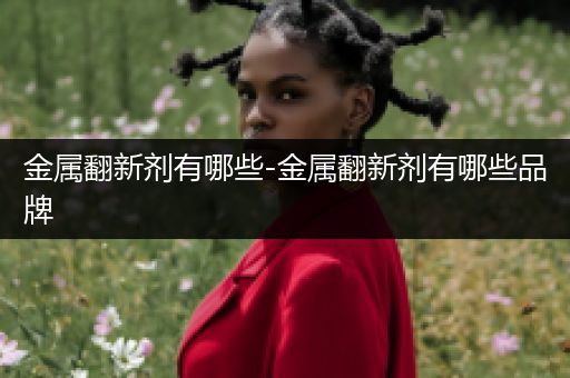 金属翻新剂有哪些-金属翻新剂有哪些品牌