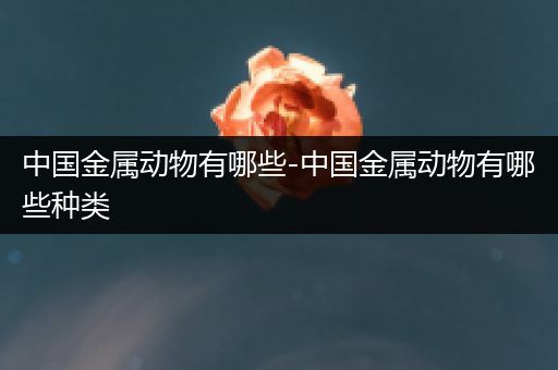 中国金属动物有哪些-中国金属动物有哪些种类