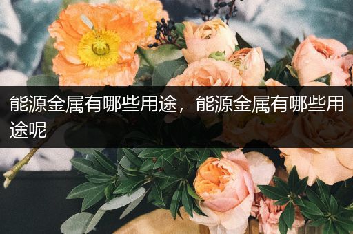 能源金属有哪些用途，能源金属有哪些用途呢