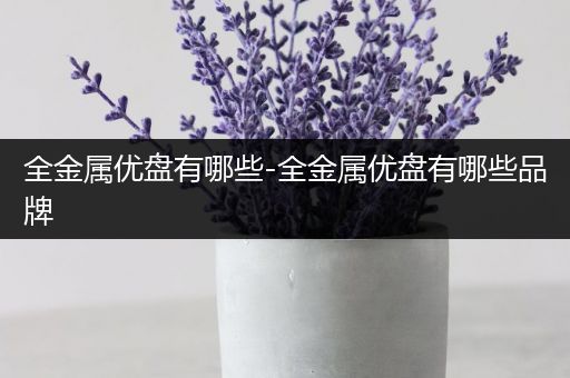 全金属优盘有哪些-全金属优盘有哪些品牌