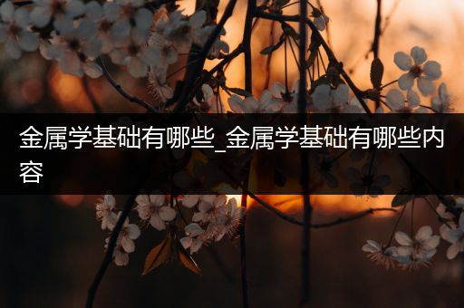 金属学基础有哪些_金属学基础有哪些内容