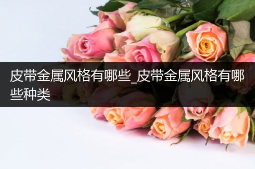 皮带金属风格有哪些_皮带金属风格有哪些种类