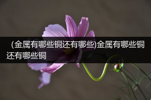 （金属有哪些铜还有哪些)金属有哪些铜还有哪些铜