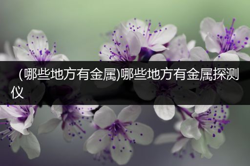 （哪些地方有金属)哪些地方有金属探测仪