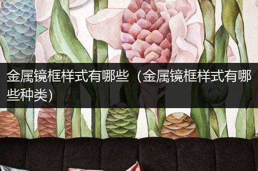 金属镜框样式有哪些（金属镜框样式有哪些种类）