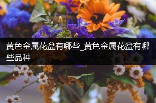 黄色金属花盆有哪些_黄色金属花盆有哪些品种