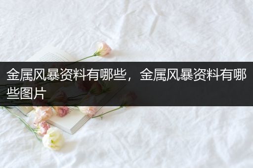 金属风暴资料有哪些，金属风暴资料有哪些图片