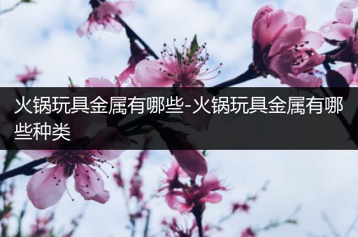 火锅玩具金属有哪些-火锅玩具金属有哪些种类