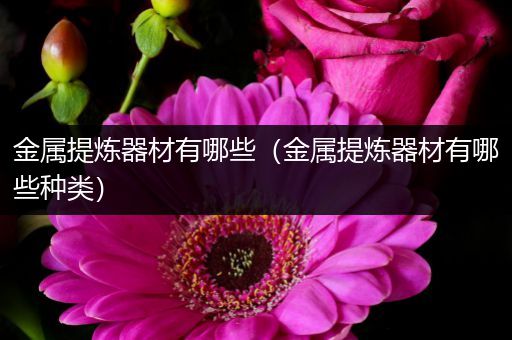 金属提炼器材有哪些（金属提炼器材有哪些种类）