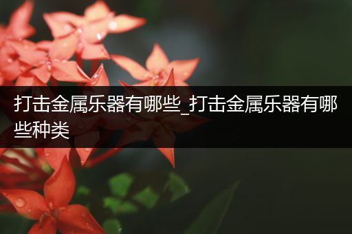 打击金属乐器有哪些_打击金属乐器有哪些种类