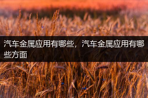 汽车金属应用有哪些，汽车金属应用有哪些方面
