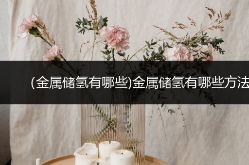 （金属储氢有哪些)金属储氢有哪些方法