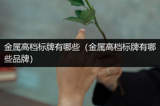 金属高档标牌有哪些（金属高档标牌有哪些品牌）