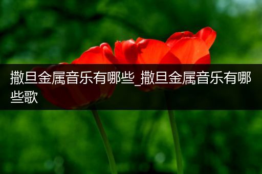 撒旦金属音乐有哪些_撒旦金属音乐有哪些歌