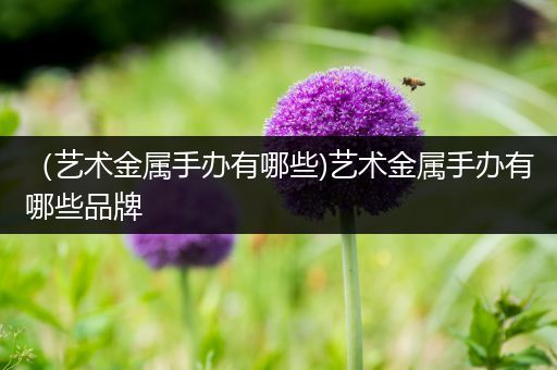 （艺术金属手办有哪些)艺术金属手办有哪些品牌