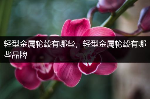 轻型金属轮毂有哪些，轻型金属轮毂有哪些品牌