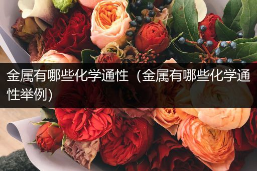 金属有哪些化学通性（金属有哪些化学通性举例）