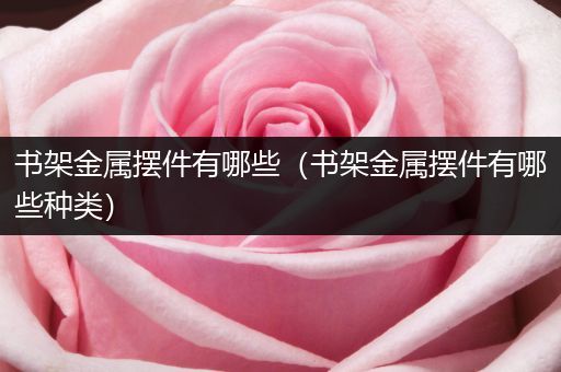 书架金属摆件有哪些（书架金属摆件有哪些种类）