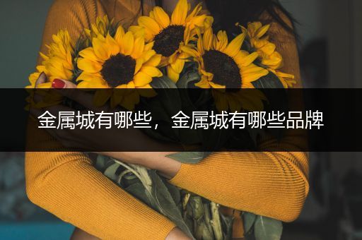 金属城有哪些，金属城有哪些品牌