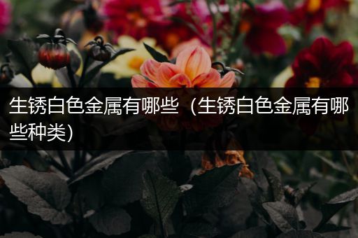 生锈白色金属有哪些（生锈白色金属有哪些种类）