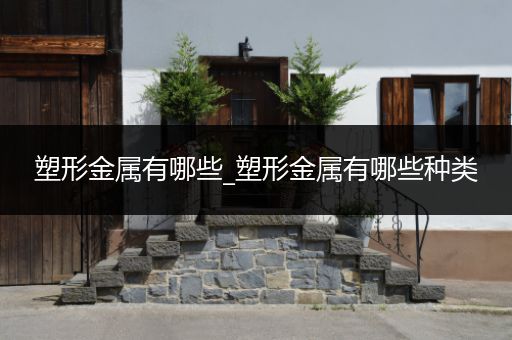 塑形金属有哪些_塑形金属有哪些种类