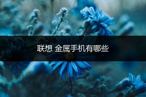 联想 金属手机有哪些