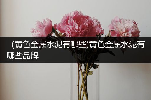 （黄色金属水泥有哪些)黄色金属水泥有哪些品牌
