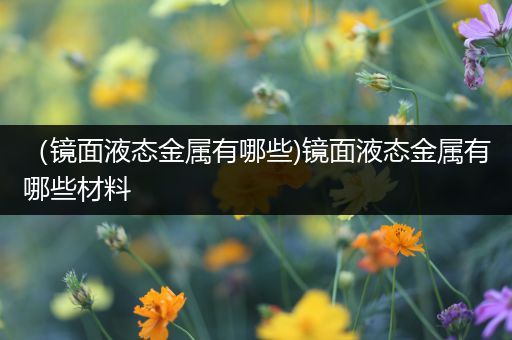 （镜面液态金属有哪些)镜面液态金属有哪些材料