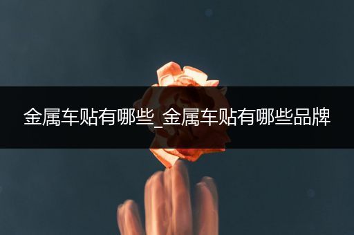 金属车贴有哪些_金属车贴有哪些品牌