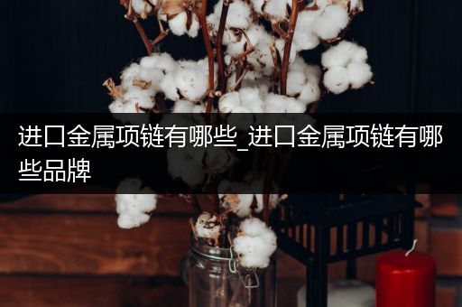 进口金属项链有哪些_进口金属项链有哪些品牌
