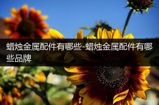 蜡烛金属配件有哪些-蜡烛金属配件有哪些品牌