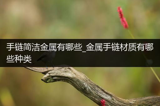 手链简洁金属有哪些_金属手链材质有哪些种类