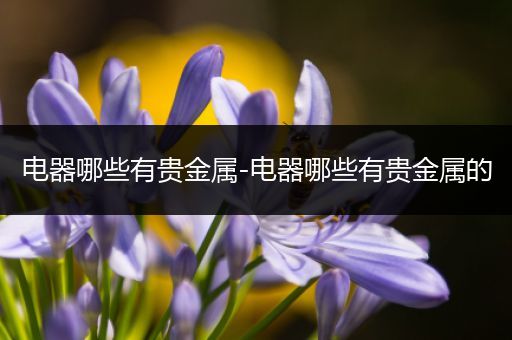 电器哪些有贵金属-电器哪些有贵金属的