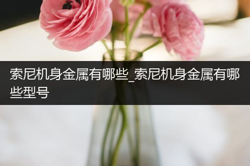 索尼机身金属有哪些_索尼机身金属有哪些型号