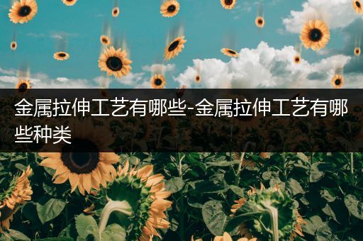 金属拉伸工艺有哪些-金属拉伸工艺有哪些种类
