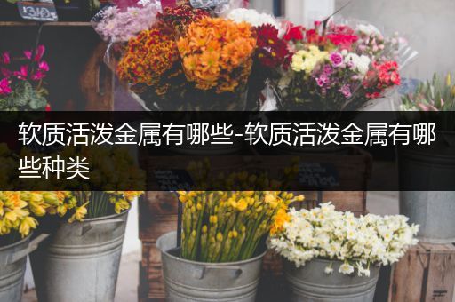 软质活泼金属有哪些-软质活泼金属有哪些种类