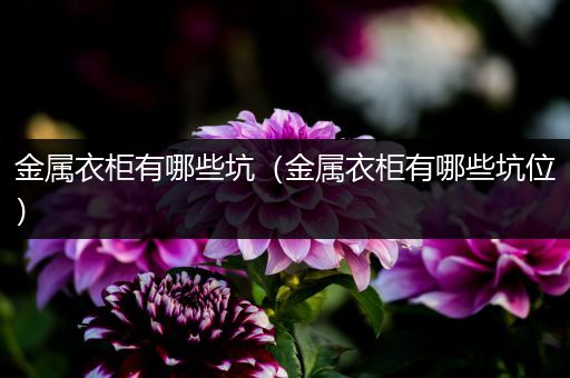 金属衣柜有哪些坑（金属衣柜有哪些坑位）