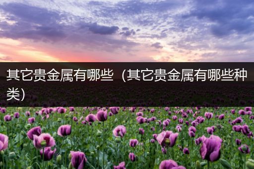 其它贵金属有哪些（其它贵金属有哪些种类）