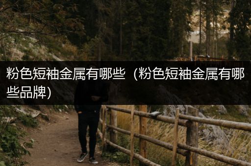 粉色短袖金属有哪些（粉色短袖金属有哪些品牌）