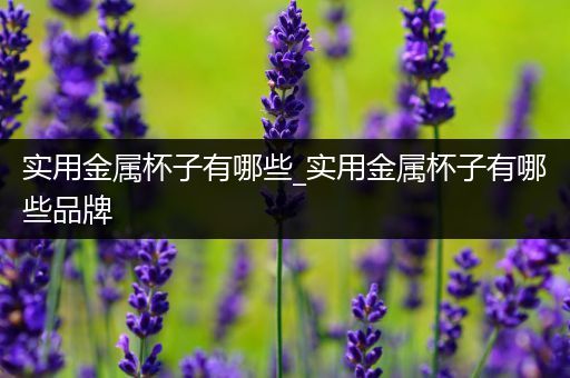 实用金属杯子有哪些_实用金属杯子有哪些品牌